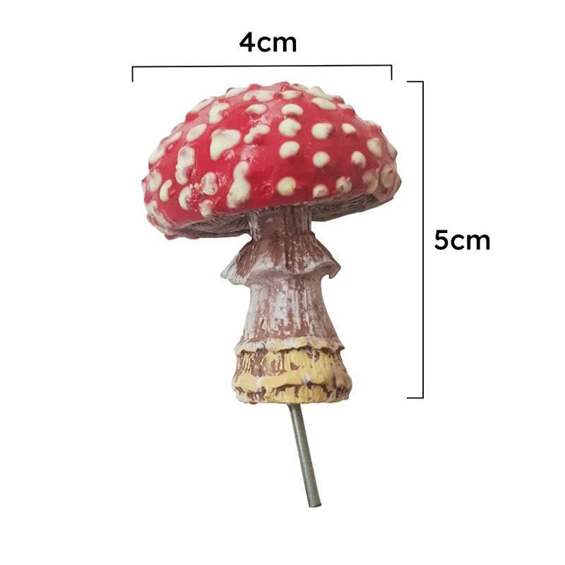 Fairy Fungi | Magisch mooi
