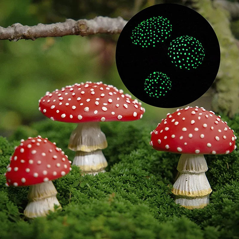 Fairy Fungi | Magisch mooi
