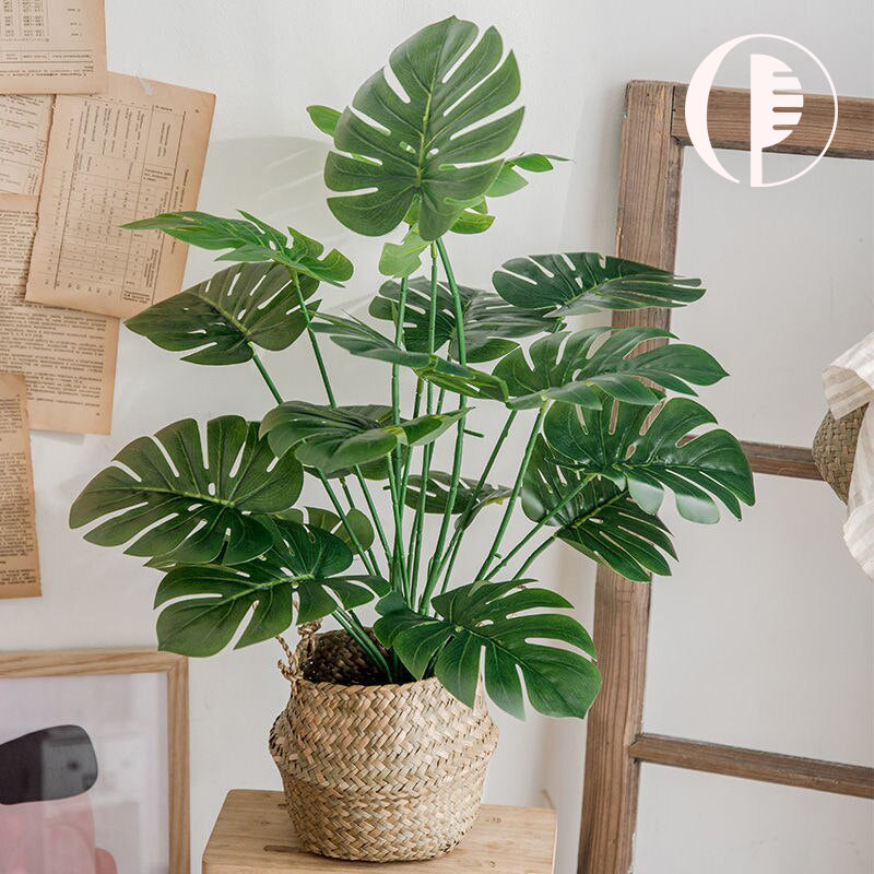 Kunst Monstera | 18 bladeren