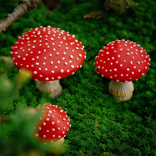 Fairy Fungi | Magisch mooi